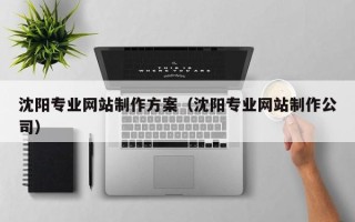 龙海沈阳专业网站制作方案（沈阳专业网站制作公司）
